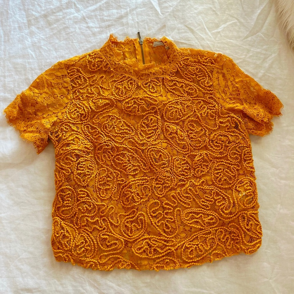 Zara crop top